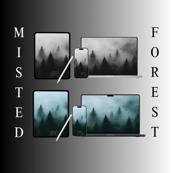 Misted Forest